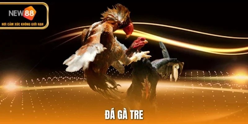 Đá gà tre